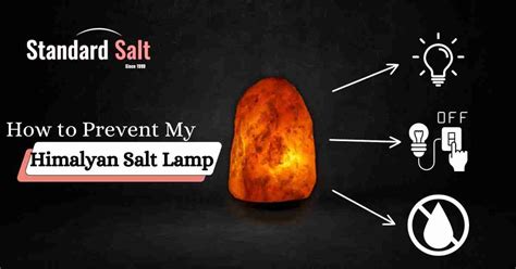 How to Stop My Salt Lamp Leaking 